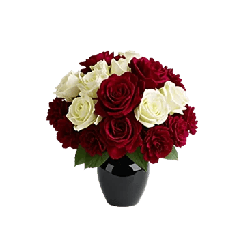 Crimson Rose Elegance