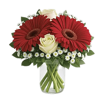 Petal Radiance Bliss