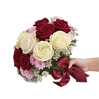 Crimson Rose Elegance