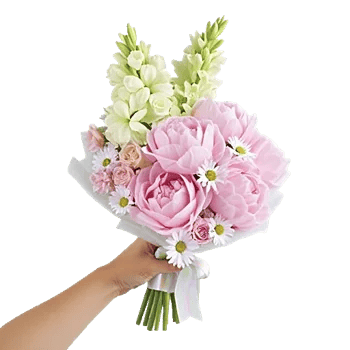 Peony Petal Harmony
