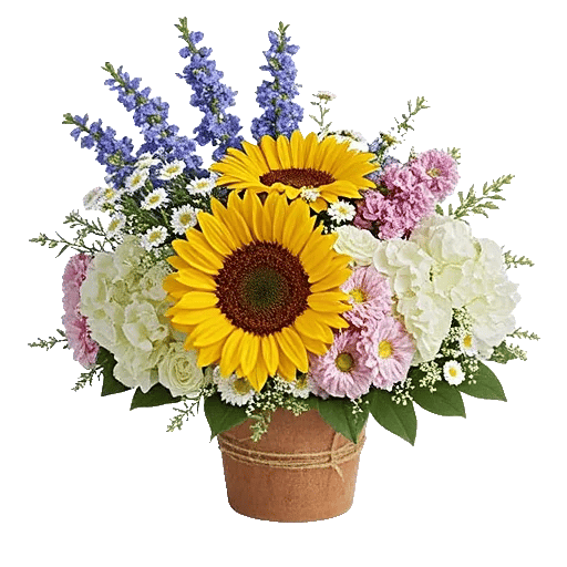 Amber Sunflower Glow