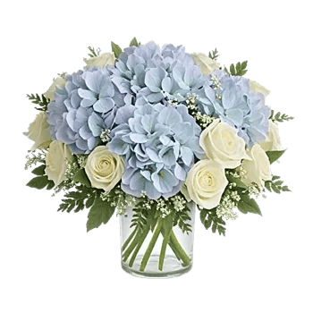 Serene Petal Harmony