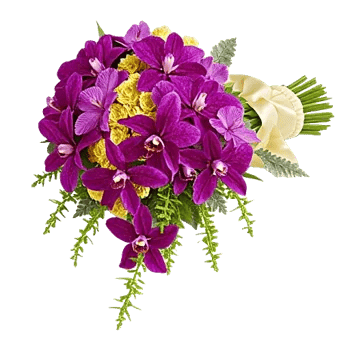 Orchid Bloom Cascade