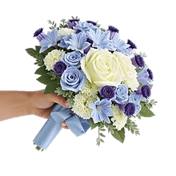 Blossom Petal Serenity