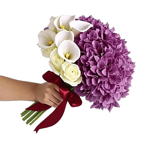 Elegant Calla Lilies