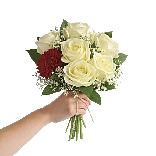 Pearl Rose Elegance