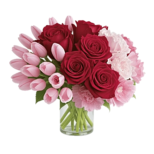 Petal Radiance Bliss