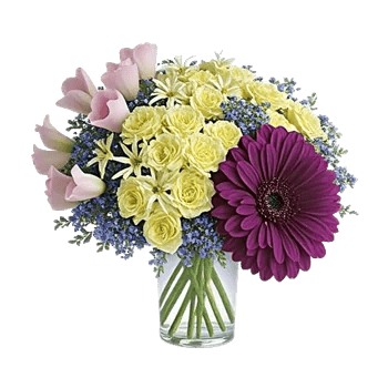 Petal Radiance Bliss