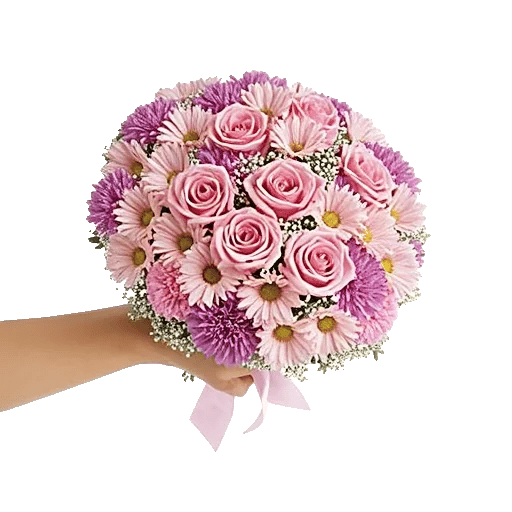 Blushing Rose Symphony