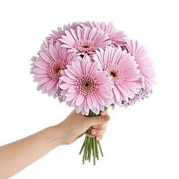 Blossom Petal Serenity