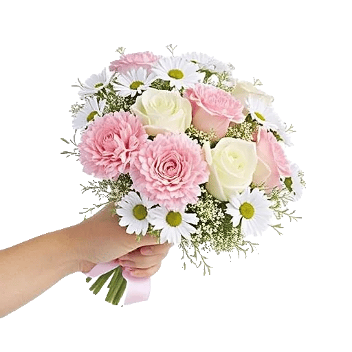 Pastel Pink Roses