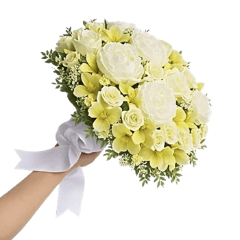Delicate Petal Cascade