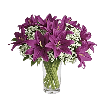 Graceful Lily Display