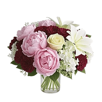 Petal Radiance Bliss