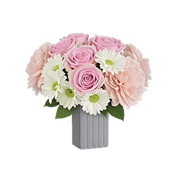 Pink Pastel Roses
