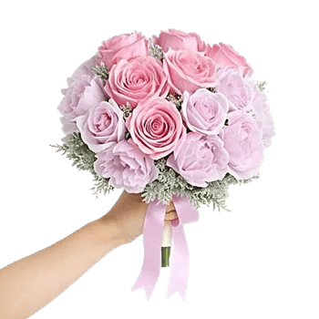 Pastel Pink Roses