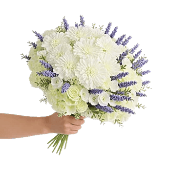 Delicate Petal Cascade