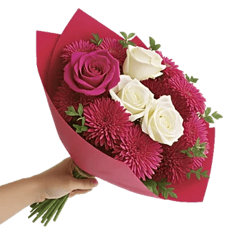 Crimson Rose Elegance