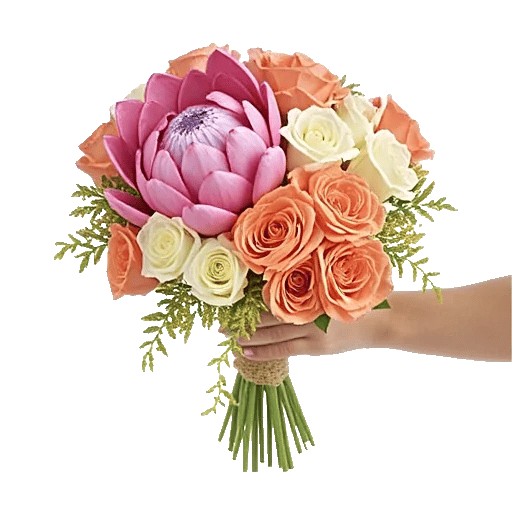 Pastel Pink Roses