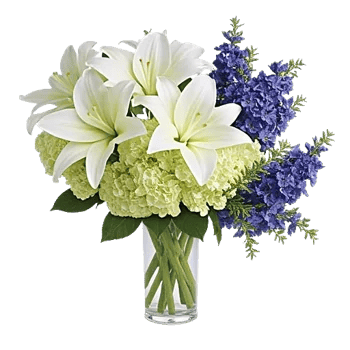 Graceful Lily Display