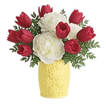 Velvet Tulip Display