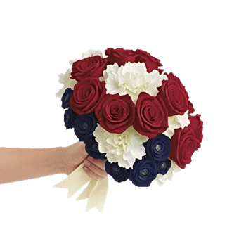 Crimson Rose Elegance