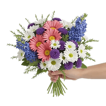 Blossom Petal Serenity