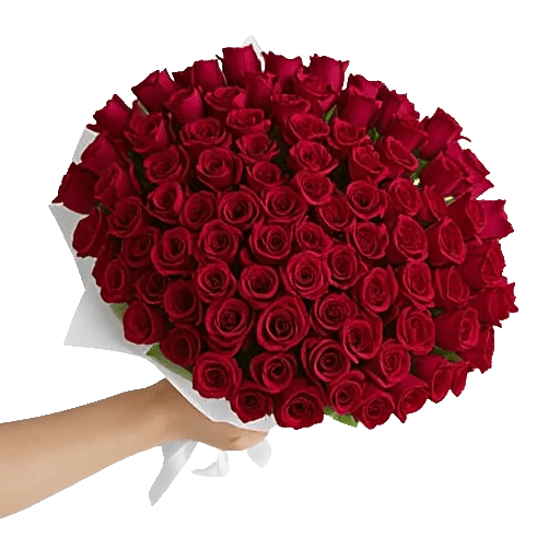 Crimson Rose Elegance