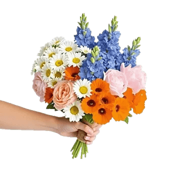 Petal Harmony Bliss