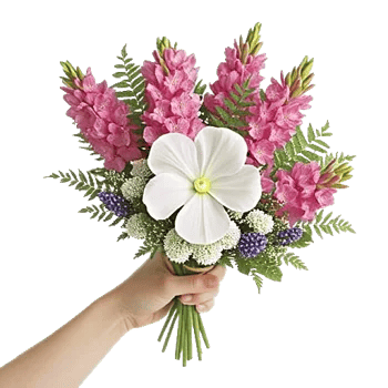 Delicate Petal Cascade