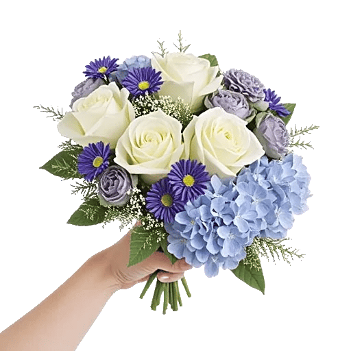 Serene Petal Harmony