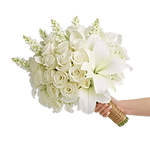 Blushing Rose Symphony