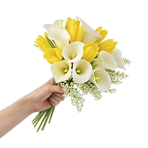 Elegant Calla Lilies