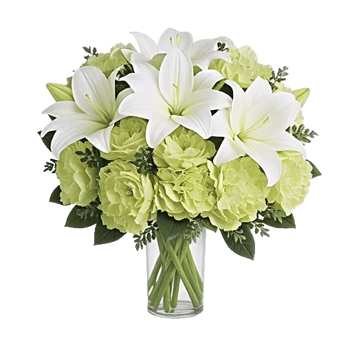 Ivory Blossom Radiance