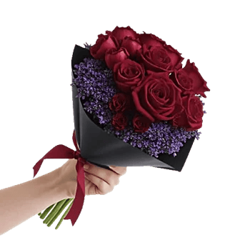 Crimson Rose Elegance