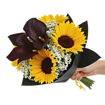 Elegant Calla Lilies