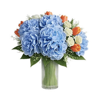 Azure Sky Blooms