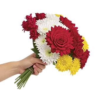 Crimson Blossom Harmony