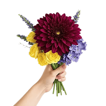 Radiant Bloom Cascade