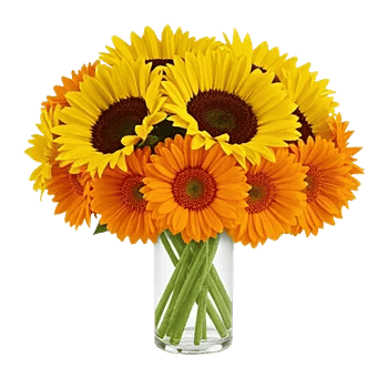 Radiant Bloom Cascade