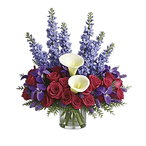 Elegant Calla Lilies