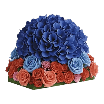 Sapphire Bloom Whisper