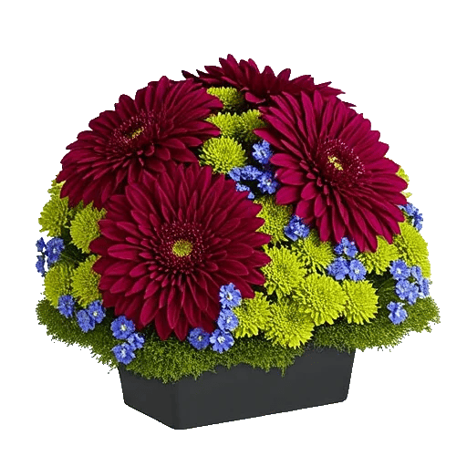 Crimson Blossom Harmony