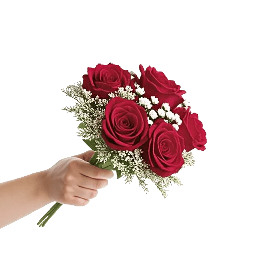 Crimson Rose Elegance