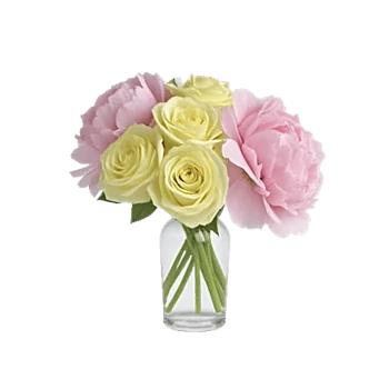 Petal Radiance Bliss