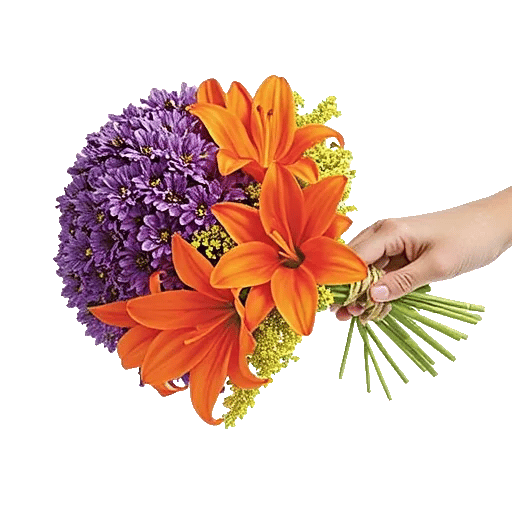 Blossom Harmony Display