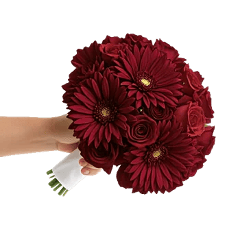 Ruby Petal Cascade