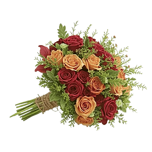 Tulip Rose Mix