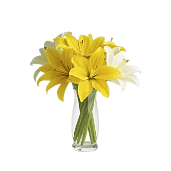 Graceful Lily Display
