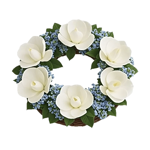 Modern White Orchids